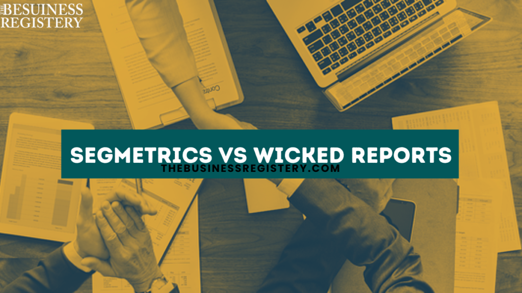 SegMetrics Vs Wicked Reports